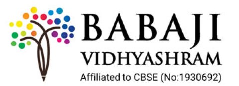 Babaji Vidhyashram Senior Secondary School