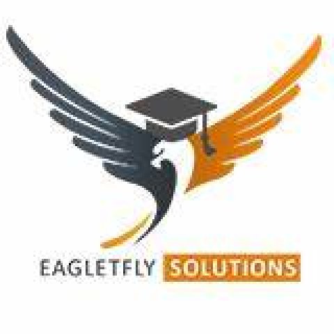 Eagletfly Solutions