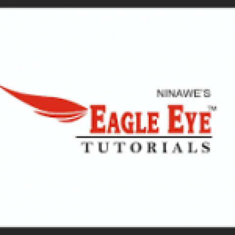 Eagle Eye Tutorials