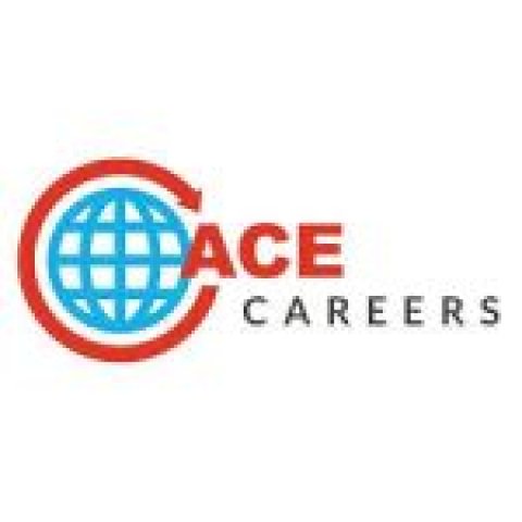 Ace Career Solutions