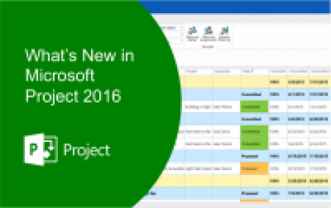 Infocareer - MS-Project 2106