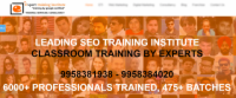 Expert training marketing institute